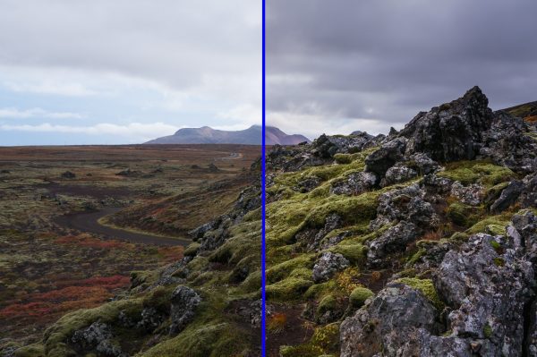 BrainPath Pro - Image 3
